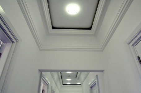 DSCN6535